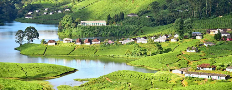 munnar