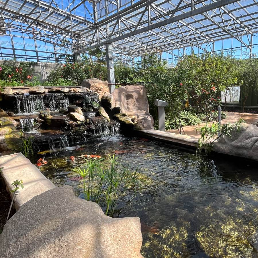 Butterfly Wonderland 