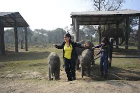 Elephant Breeding Centre