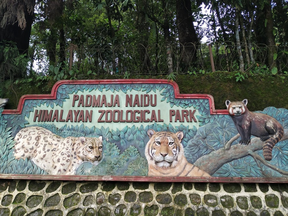 Padmaja Naidu Himalayan Zoological Park
