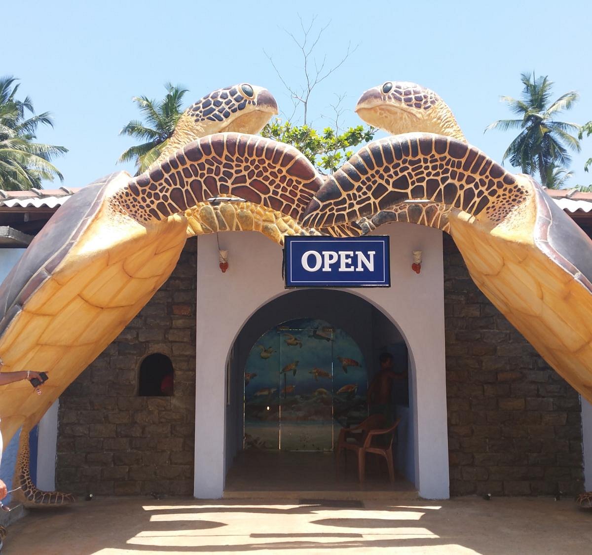 Kosgoda Turtle Hatchery