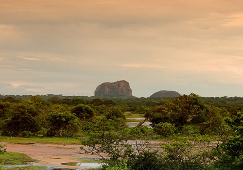 Ruhuna National Park