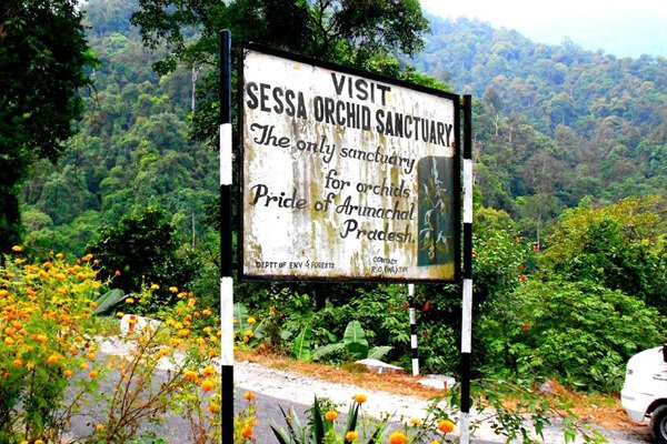 Sessa Orchid Sanctuary