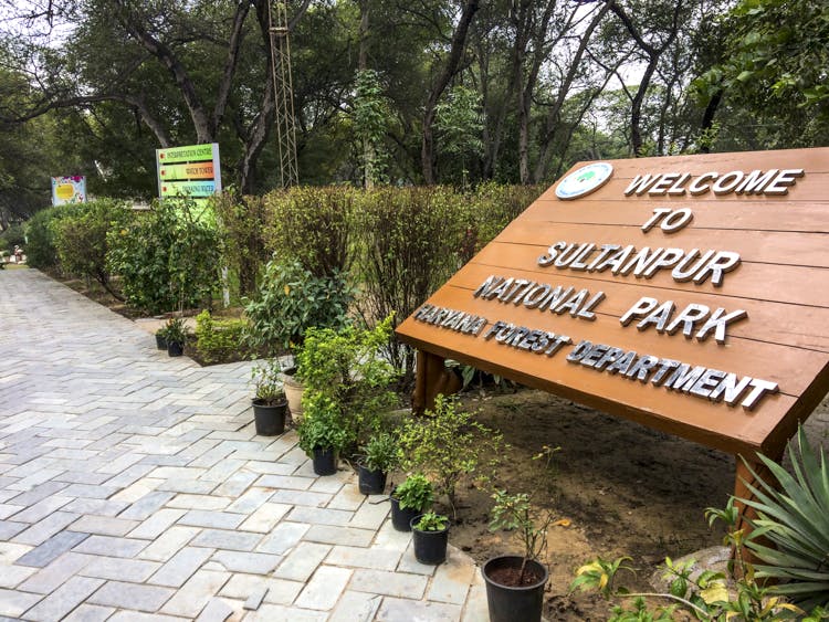 Sultanpur National Park