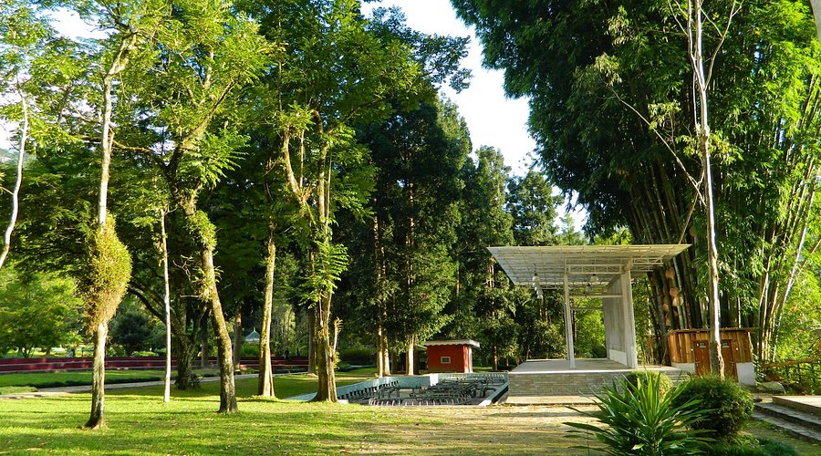 Saramsa Garden